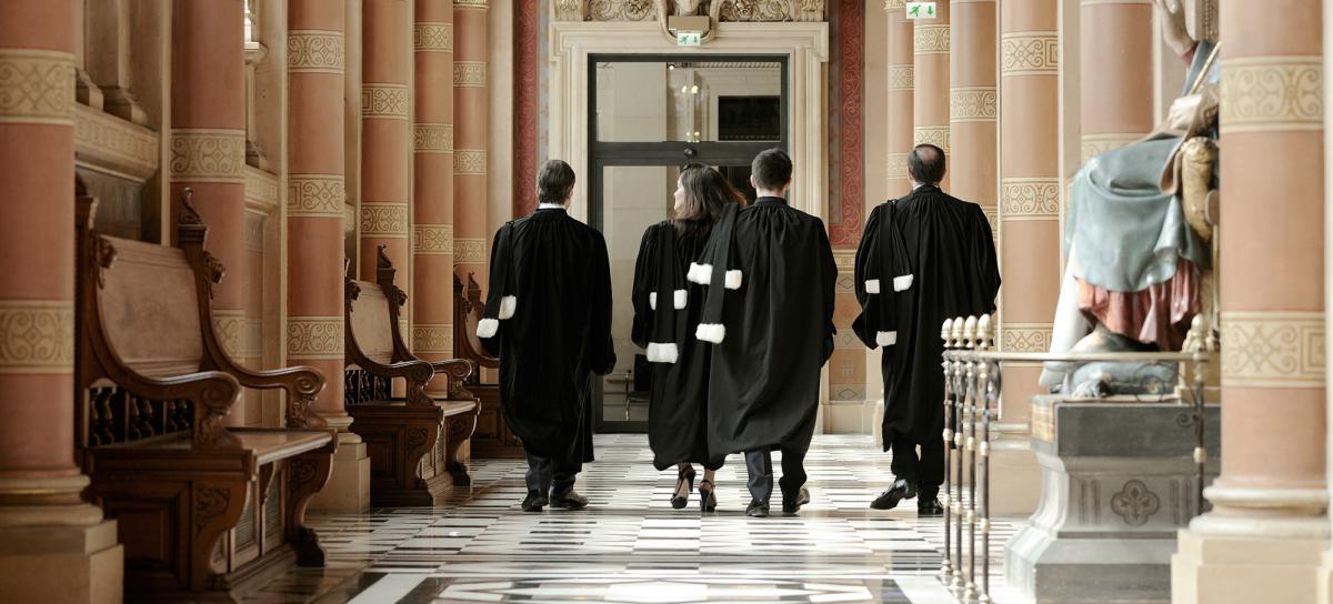 L’Ordre est l’organisme représentatif des avocats aux Conseils qui sont les seuls professionnels